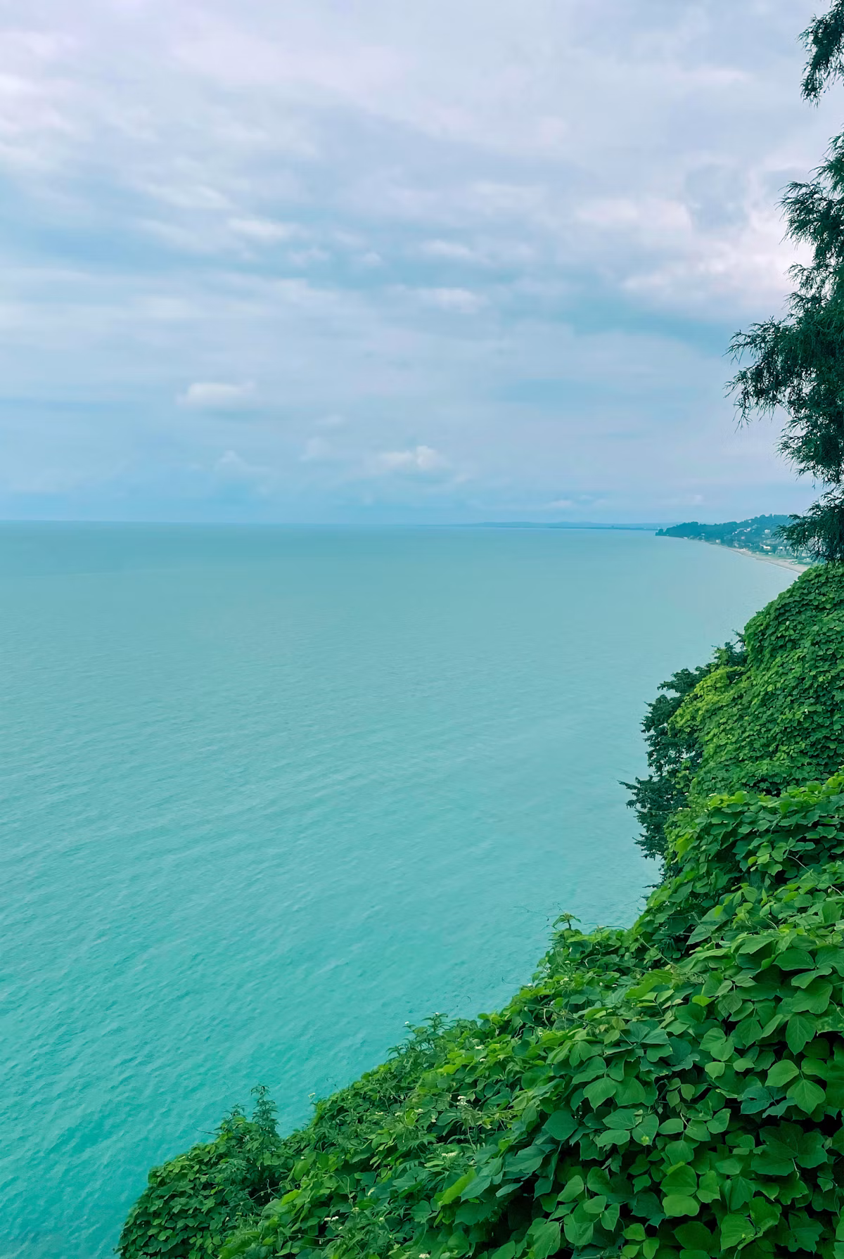 Turquoise sea seen from the headland through dense subtropical greenery
