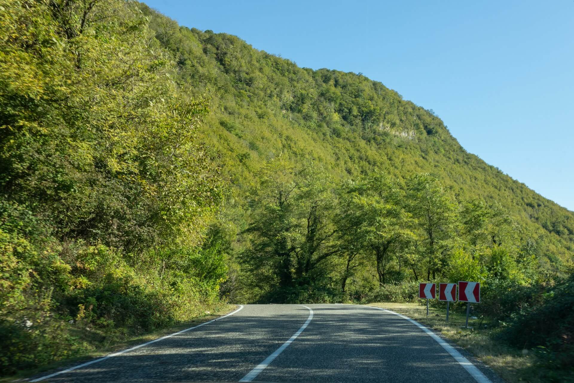 A curving forested mountain road with hairpin warning signs
